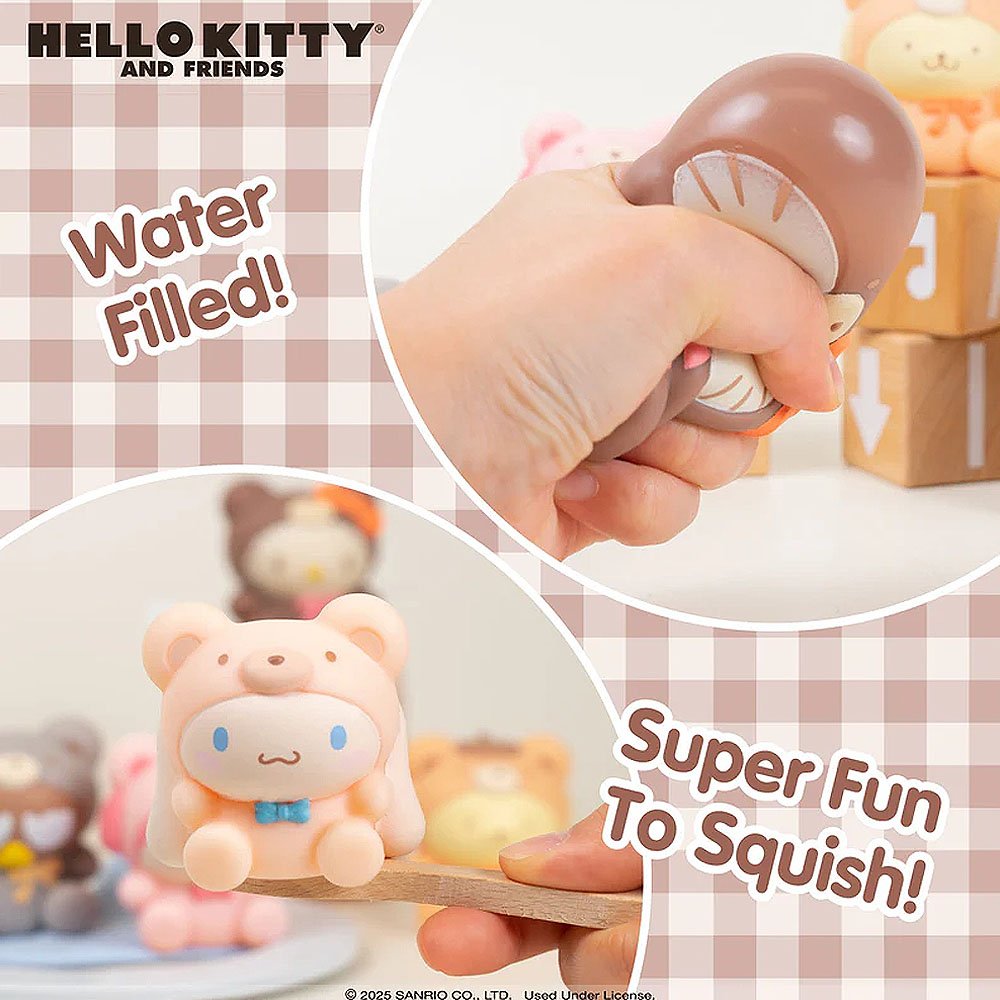 Hello Kitty and Friends squishy toy with water-filled feature and checkered background