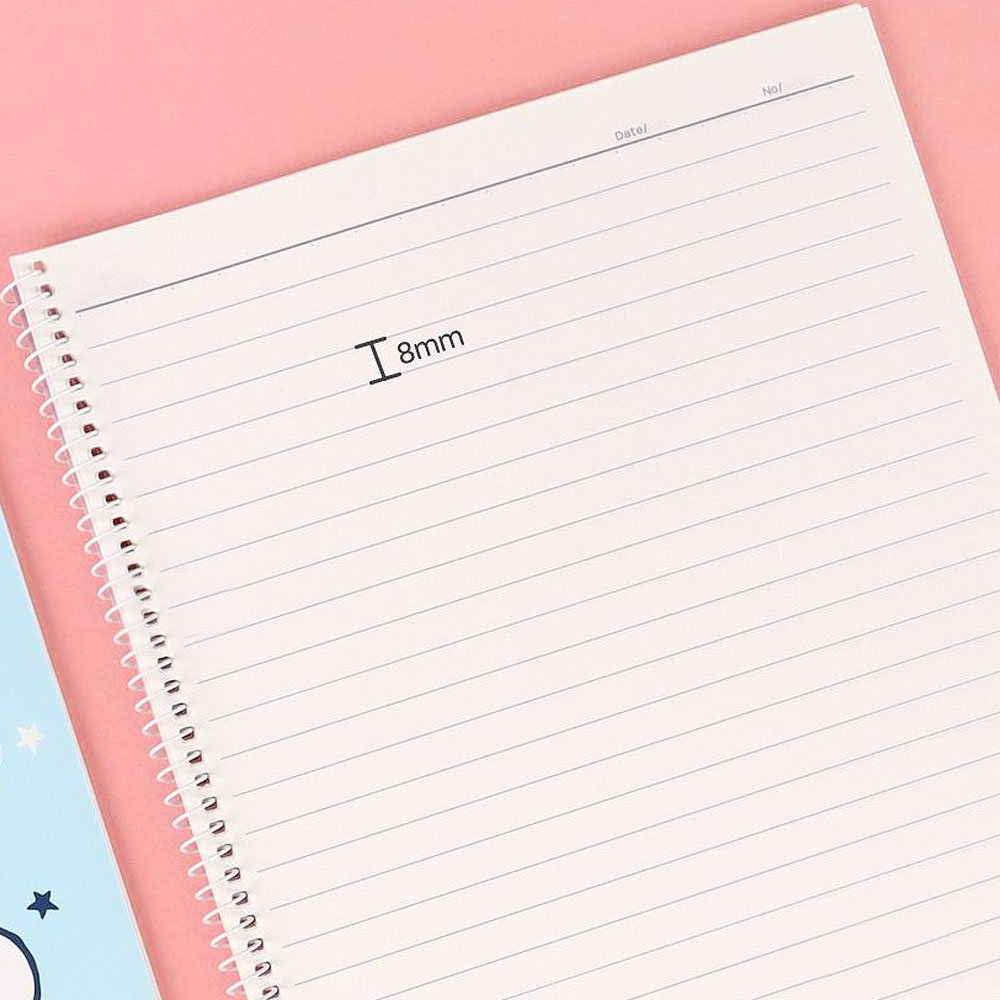 Sanrio Characters Spring Notebook B5