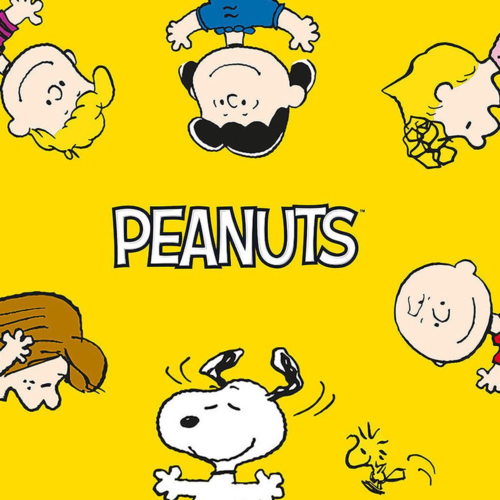 Peanuts Secret Acrylic Key Ring