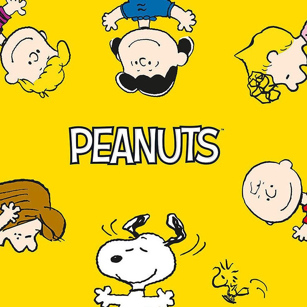 Peanuts Secret Acrylic Key Ring