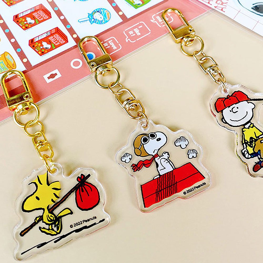Peanuts Secret Acrylic Key Ring