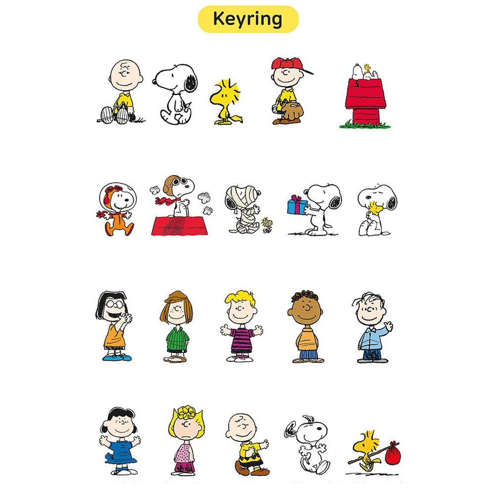 Peanuts Secret Acrylic Key Ring