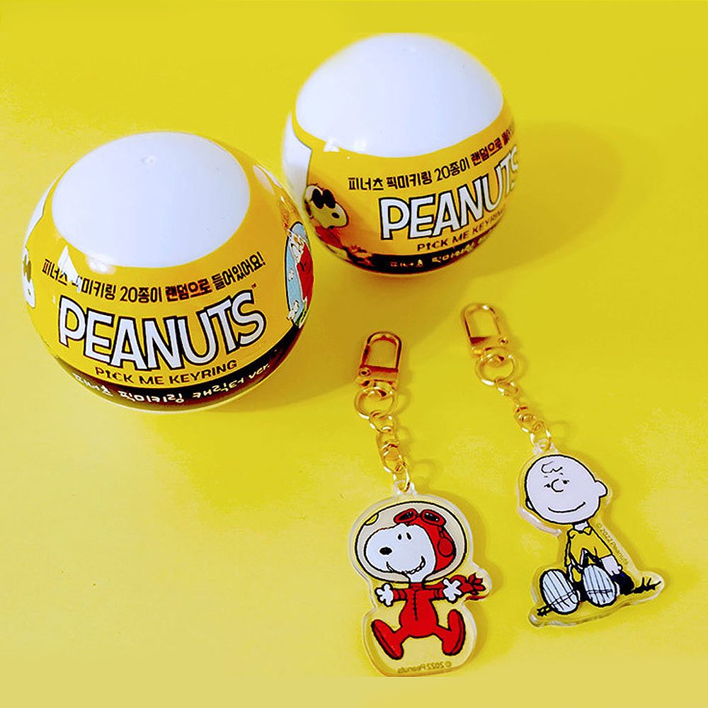 Peanuts Secret Acrylic Key Ring