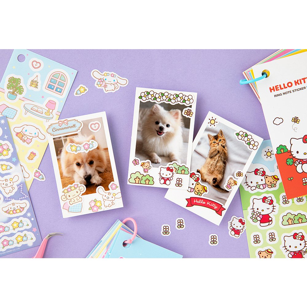 Sanrio Characters Ring Note Sticker Pack