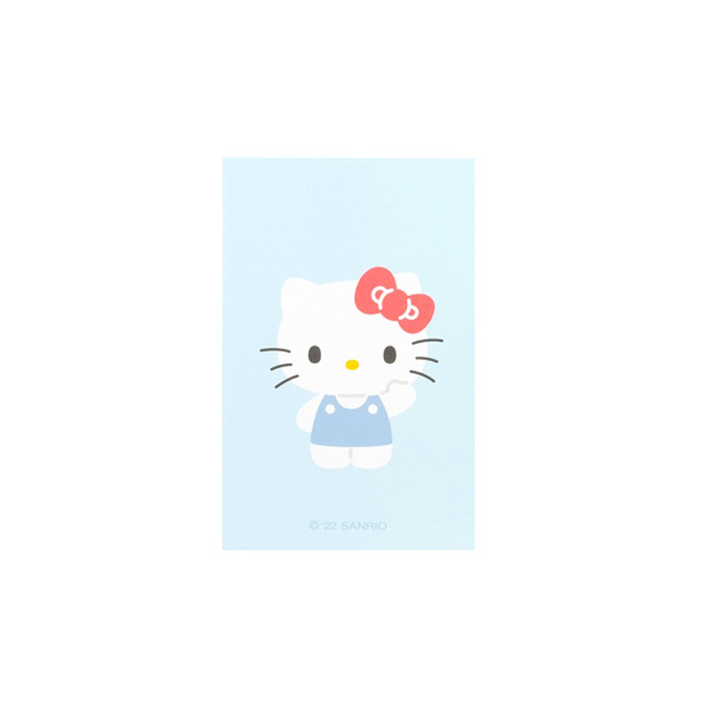 Sanrio Characters Clear Photocard Album