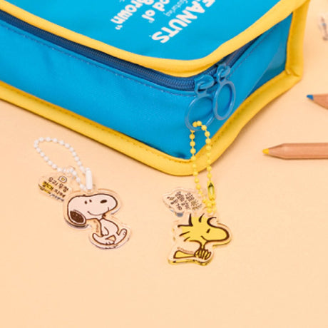 A collection of 12 different Peanuts character acrylic keychains in "Luck For You" blind boxes. The keychains feature Snoopy, Woodstock.