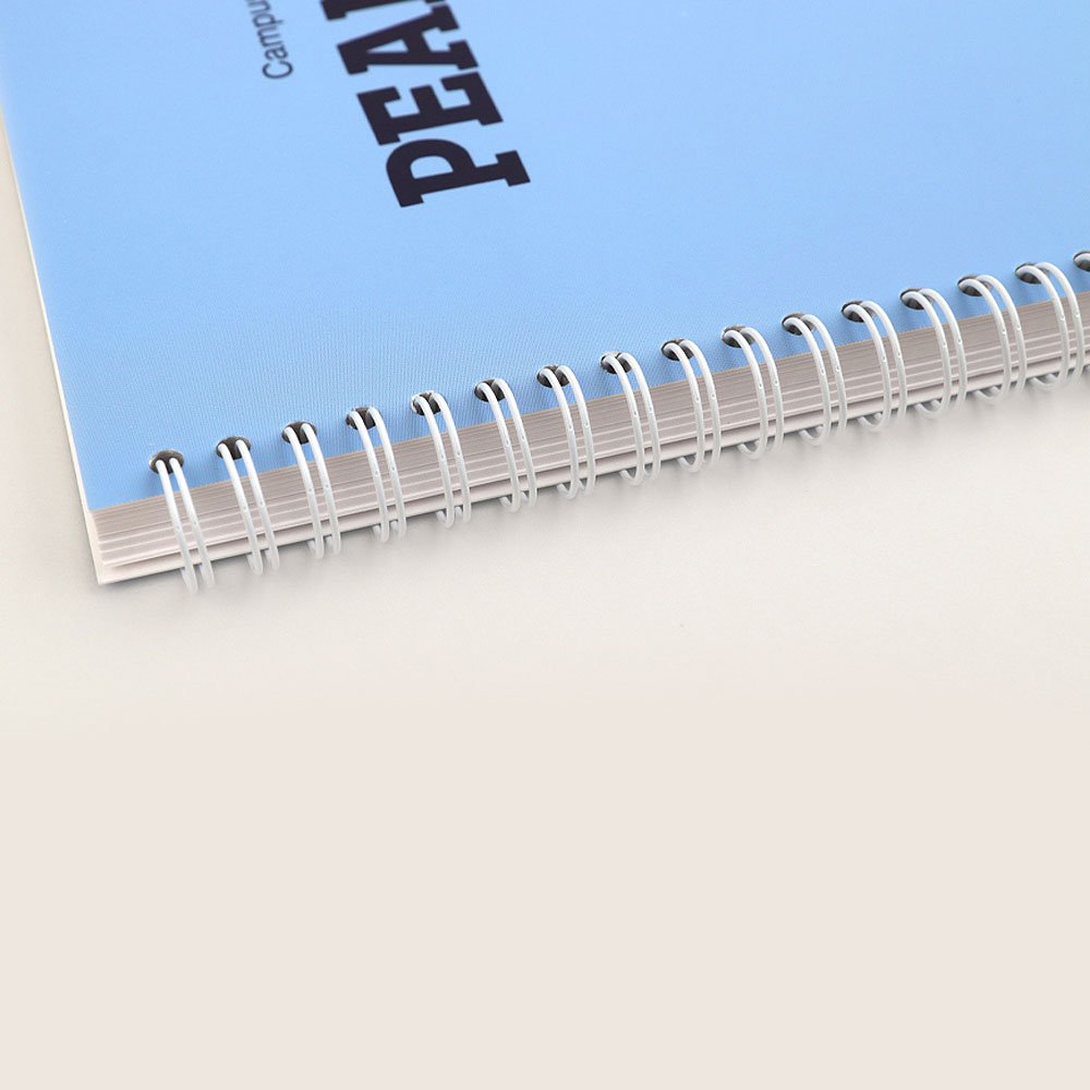 Peanuts Snoopy Campus Ruled Notebook